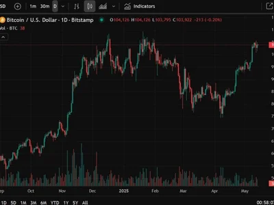 Tether purchased more than 4,800 Bitcoin at average US$95,319 - wallet, tether, bitcoin, Forexlive, Crypto