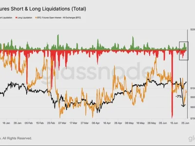 The $100K Mirage: Bitcoin’s Rally Not Backed By On-Chain Strength - Crypto, bitcoin, may, NewsBTC, term