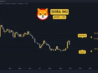 The Reason Behind Shiba Inu (SHIB) Price Plummet Today: Analysis - shiba, shib