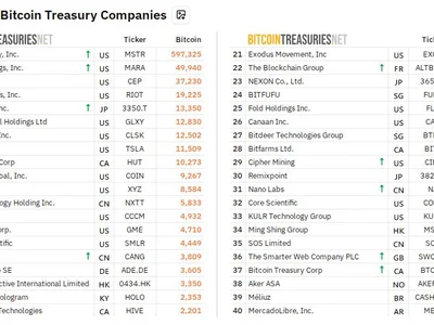 The Silent Bitcoin Accumulation: Public Companies’ Surprising H1 2025 Lead - etf, Crypto, bitcoin, btc, NewsBTC