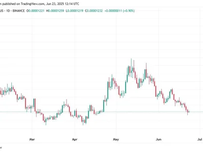 These 2 Tokens That Are Not Dogecoin (DOGE) and Shiba Inu (SHIB) Will Turn $200 into $10,000 in 2025 - cex, pepe, fomo, 777, bonk, Crypto, solana, meme, doge, dogecoin, shib, og, ten, Coinpedia, zero, shiba inu, defi
