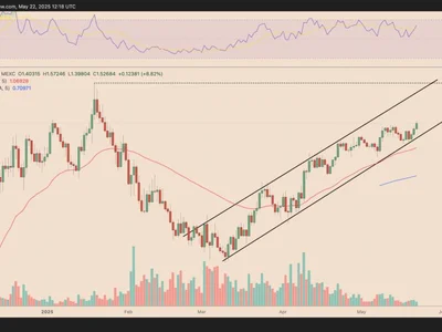 These 4 memecoins can outperform Bitcoin this cycle - bitcoin, Cointelegraph, wif, rally, Crypto, memecoin, btc, solana, popcat