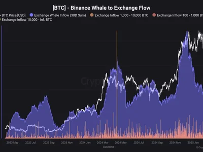 This Bitcoin Signal Aligns With Price Tops, CryptoQuant Analyst Reveals - whale, Crypto, bitcoin, NewsBTC