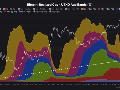 This Chart Warns Bitcoin’s Momentum May Be Running Out, Here’s Why - NewsBTC, utxo, bitcoin, term, chart, new, btc, Crypto