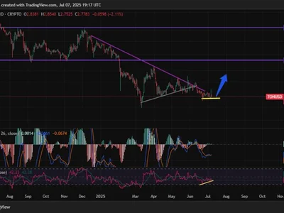 TON Foundation Confirms No Official Deal With UAE: Toncoin Down Over 5% Today - Crypto, ton, Coinpedia, toncoin, vara