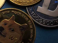 Top 10 Risks of Investing in Memecoins - shiba inu