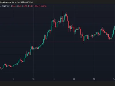 Top Crypto Exchanges Made $172 Million From TRUMP Memecoin Listing – Report - pepe, token, Crypto, trump, donald trump, wif, NewsBTC, bonk, ath, four, crypto