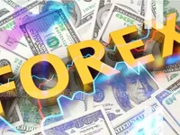 Top Forex Signals Providers for 2024 - forex, 2024