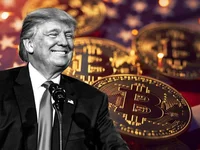 Trump reiterates support for Bitcoin, picks Musk to lead government overhaul - donald trump, bitcoin, trump, musk