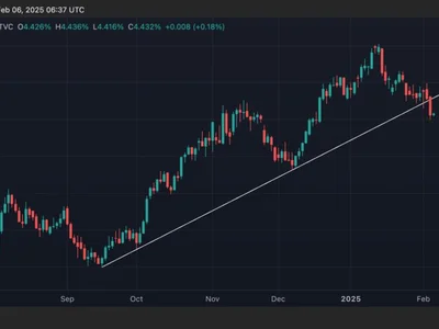 Trump's Aim to Lower The 10-Year Yield Could Bode Well for Bitcoin - yield, musk, ing, trump, lower, CoinDesk, Crypto, doge