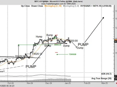 Un famoso trader prevede un possibile crollo di Bitcoin prima di un nuovo rally - trump, un, la, donald trump, al, 2024, Crypto, meta, NewsBTC, bitcoin, pongo