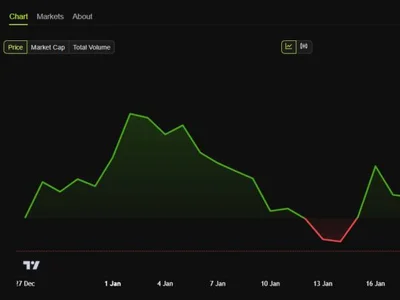 Virtuals Protocol Eyes Multichain Growth With Strategic Solana Expansion - solana, base, virtual, virtuals protocol, Beincrypto, ai, Crypto