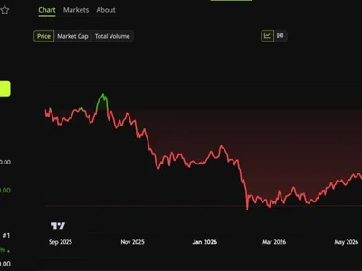 Wall Street Backed Bitcoin, Then Watched It Crash 50%, Two Reports Explain