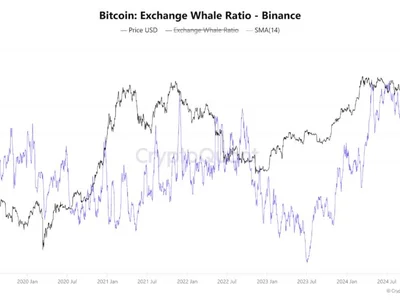 Whale Activity Spikes as Bitcoin Reclaims $102,000—What Investors Need To Know - NewsBTC, bitcoin, whale, chart, Crypto, new