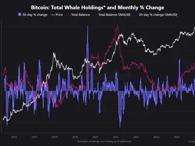 Whale and Miner Data Reveal Bitcoin’s Next Move | Weekly Whale Watch - miner, bitcoin, Beincrypto, Crypto, btc, whale, donald trump