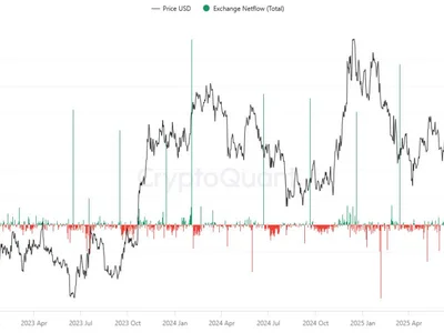 Whales Are Loading Up on Chainlink (LINK), But Retail Investors Are Still Missing the Signal - 2024, chainlink, Crypto, whales, NewsBTC, may, chart, link, bitcoin