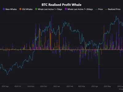 Whales Are Quietly Repositioning, Here’s What Bitcoin’s $107K Price Isn’t Telling You - chart, Crypto, bitcoin, NewsBTC, whales, btc