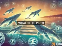 Whales help Litecoin surge 10.32% – Will LTC rally another 40%? - litecoin