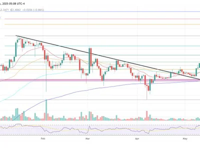 ‘What If XRP Is The Next Bitcoin?’ Says Dave Portnoy - one, bitcoin, fomo, NewsBTC, Crypto, xrp