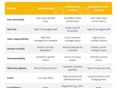 What is multichain self-custody, and why does it matter? - polkadot, 2024, dapp, move, layerzero, self, wormhole, aptos, nft, sui, Crypto, axelar, solana, one, defi, avalanche, arbitrum, Cointelegraph, polygon, multichain, ethereum