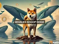 Why Dogecoin’s $56M whale accumulation might NOT help DOGE’s rally - worth, whale, doge, dogecoin, single, whales