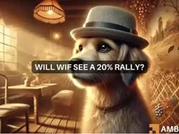 Why dogwifhat will rally 20% soon – ‘Nobody is ready for…’ - soon, wif, strong