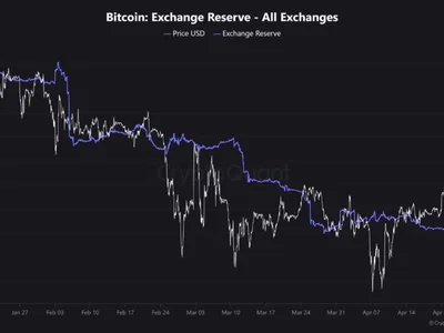Why Has Bitcoin Rally Stalled? On-Chain Data Provides Hints - Crypto, rally, NewsBTC, bitcoin