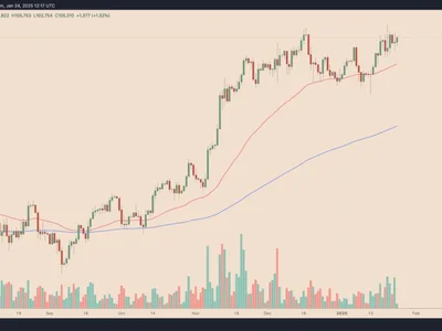 Why is Bitcoin price up today? - changpeng zhao, Cointelegraph, donald trump, Crypto, bitcoin