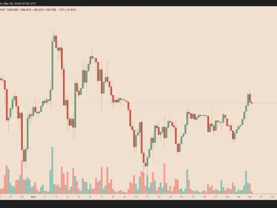  Why is Bitcoin price up today?  - Cointelegraph, bitcoin, Crypto, long, donald trump