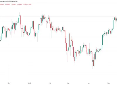 Why is Bitcoin price up today? - btc, Cointelegraph, time, bitcoin, Crypto, japan