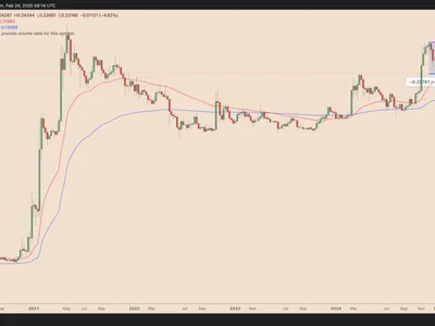 Why is Dogecoin price down today? - second, solana, fibonacci, meme, shiba inu, dogecoin, Cointelegraph, doge, pepe, memecoin, Crypto