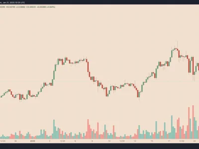 Why is Dogecoin price down today? - donald trump, trump, Crypto, doge, bitcoin, dogecoin, crypto, musk, 2024, Cointelegraph