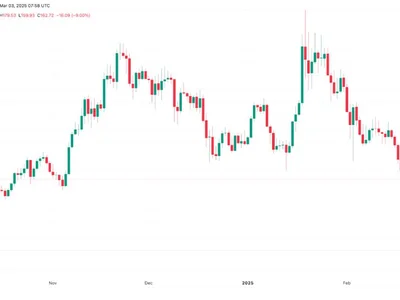 Why is Solana (SOL) price up today? - solana, bitcoin, trump, grim, sol, cardano, Crypto, eth, xrp, Cointelegraph, crypto, ada