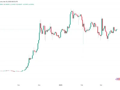  Why is XRP price up today?  - bitcoin, xrp, dogecoin, solana, Cointelegraph, four, cardano, Crypto, sec, ada, fit, crypto