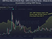 Why Is XRP Price Up Today? Key Reasons Explained - trump, sec, gensler, xrp, 2024, crypto
