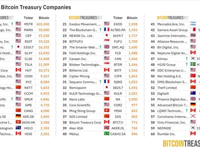 Will Bitcoin Treasury Companies Kickstart the Next Crypto Bear Market? - winter, mstr, bitcoin, Beincrypto, one, Crypto, atm, 2024