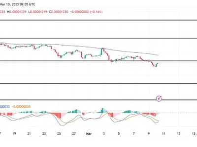 Will Shiba Inu Reclaim $0.000012? SHIB Eyes Retest After Key Support Breakdown - shib, level, NewsBTC, key, Crypto