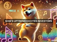 Will Shiba Inu surge 480% to $0.000081? Why analysts are confident - shib, inu