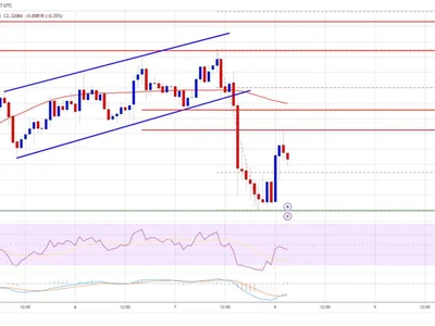 XRP Price Corrects: Limited Downside Keeps Bulls Optimistic - xrp, Crypto, level, NewsBTC