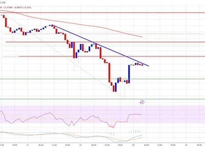 XRP Price Finds Some Relief, But Faces Headwinds on The Path Up - xrp, Crypto, NewsBTC, level