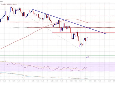 XRP Price Loses Steam—Can It Overcome These Challenges? - xrp, level, NewsBTC, Crypto, near