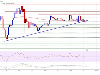 XRP Price Pauses Rally: Healthy Pullback or Reversal Ahead? - xrp, level, NewsBTC, Crypto, bitcoin