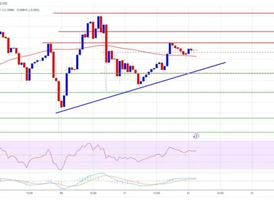 XRP Price Sets the Stage for More Gains: Bulls Hold the Momentum - NewsBTC, level, Crypto, xrp, bitcoin