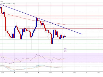 XRP Price Stays Steady: Will Consolidation End Soon? - NewsBTC, xrp, Crypto, level, bitcoin