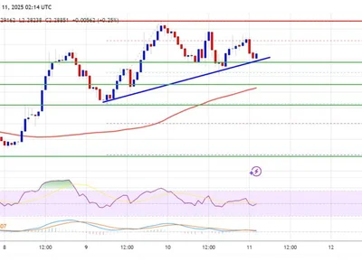 XRP Price Takes a Breather—Consolidation Phase or Bullish Setup? - Crypto, level, xrp, NewsBTC