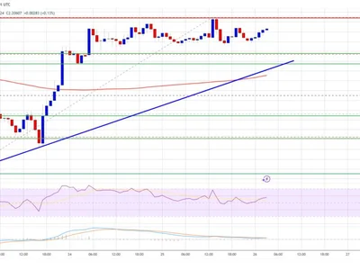 XRP Price Trades Sideways — Bulls Preparing for Next Push? - zone, xrp, level, Crypto, NewsBTC