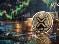 XRP Rockets 66% in Volume as Bulls Take Charge - xrp