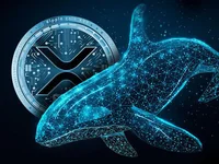 XRP Whale Activity Rises as 155 Million XRP Disappear - whale, xrp