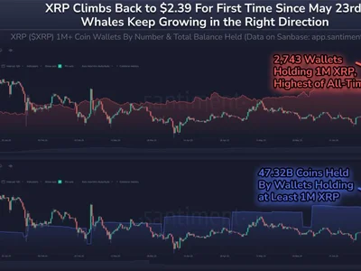 XRP Whale Addresses Reach Record High in July Amid Growing ETF Hype - three, xrp, Crypto, whale, etf, sec, ETFs, Beincrypto