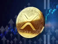 XRP Whales Move 430M Coins As Ripple’s Chris Larsen Dumping XRP - whales, xrp